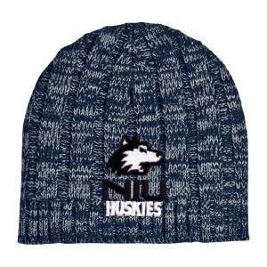 Embroidered Heathered Knit Beanie Cap